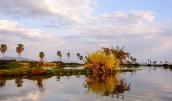 Selous Game Reserve (1)