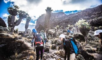 kilimanjaro_1
