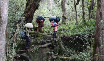 machame 1 (2)