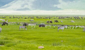 ngorongoro crater (6) ngorongoro crater (6)