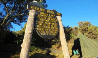 rongai simba camp rongai simba camp