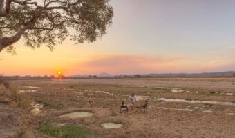 ruaha 3 days f ruaha 3 days f