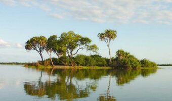 selous 2 (2) selous 2 (2)